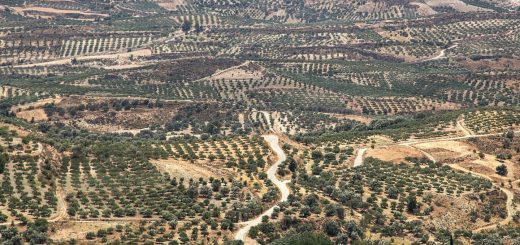 Les incontournables lieux en Grèce