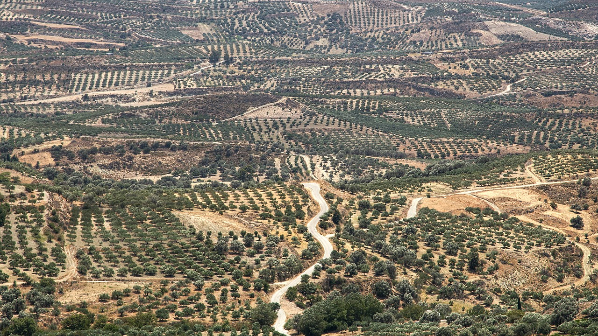 Les incontournables lieux en Grèce