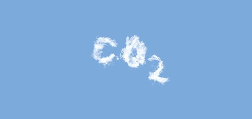 Comment gérer son bilan carbone ?