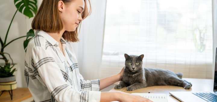 Assurance animaux : choisir la couverture la plus sûre et avantageuse