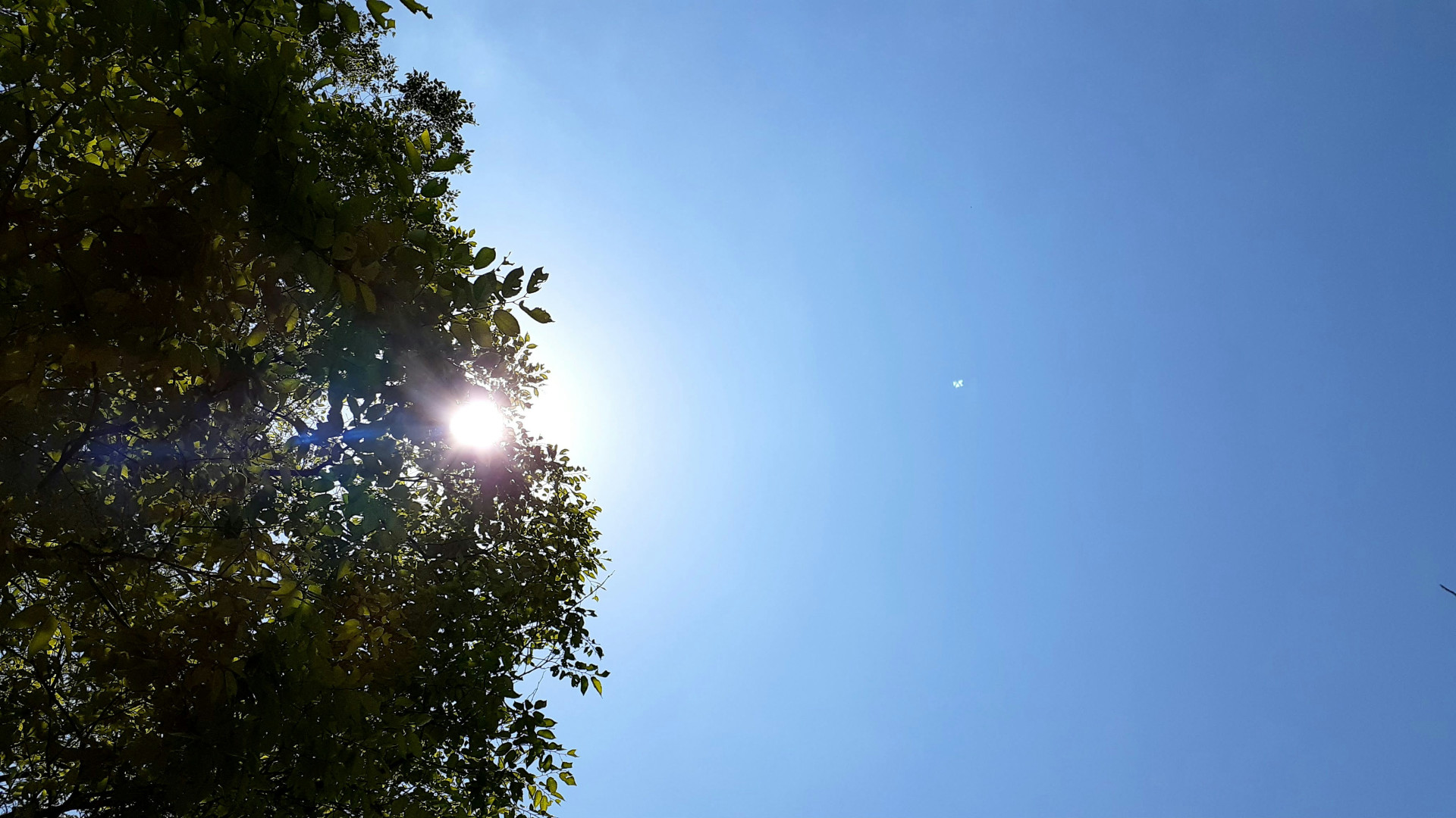 Y a-t-il des aides pour passer à l'énergie solaire ?