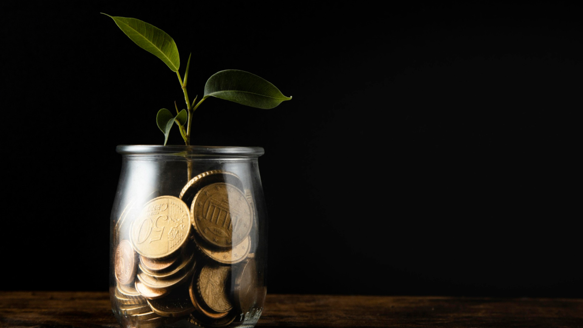 SCPI bancaires : comment profiter de la performance du secteur bancaire sans contraintes ?