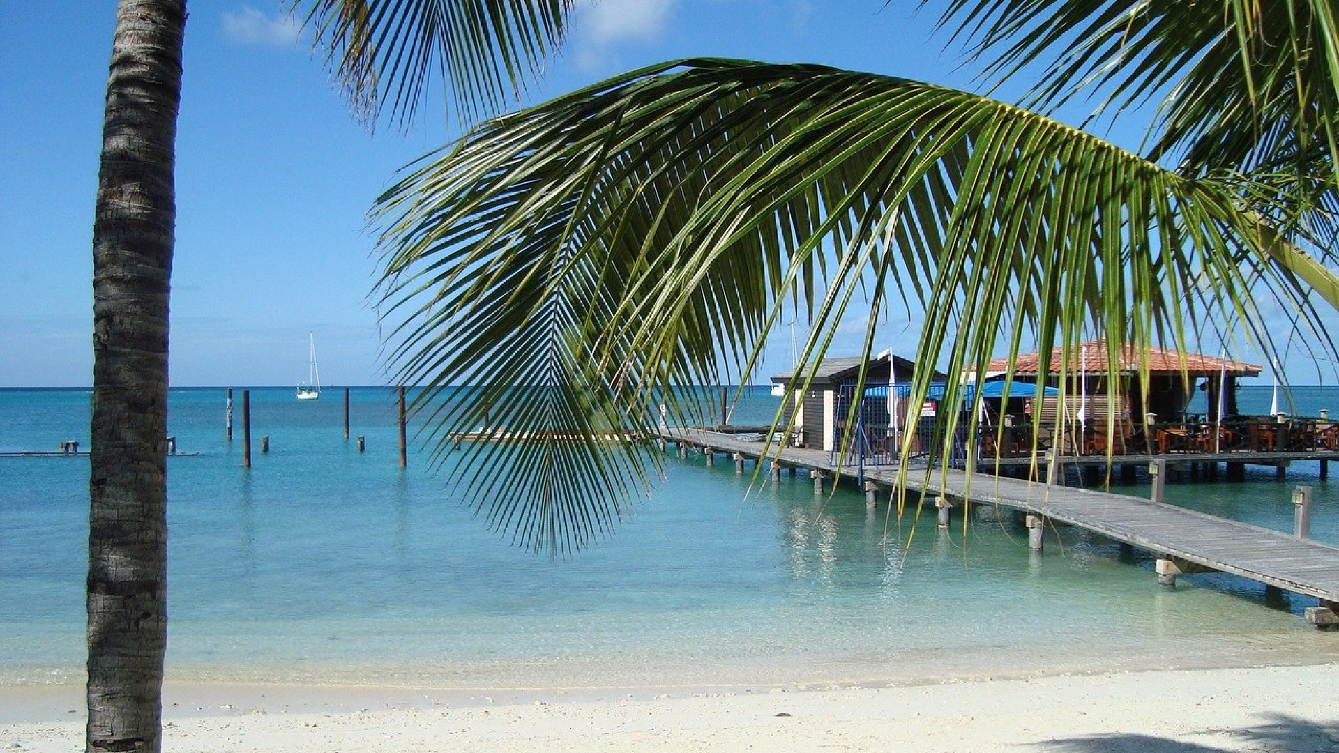 Croisière en plein coeur des Caraïbes : une aventure exceptionnelle à vivre en famille