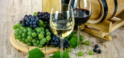 Découvrez les vins raffinés de chablis