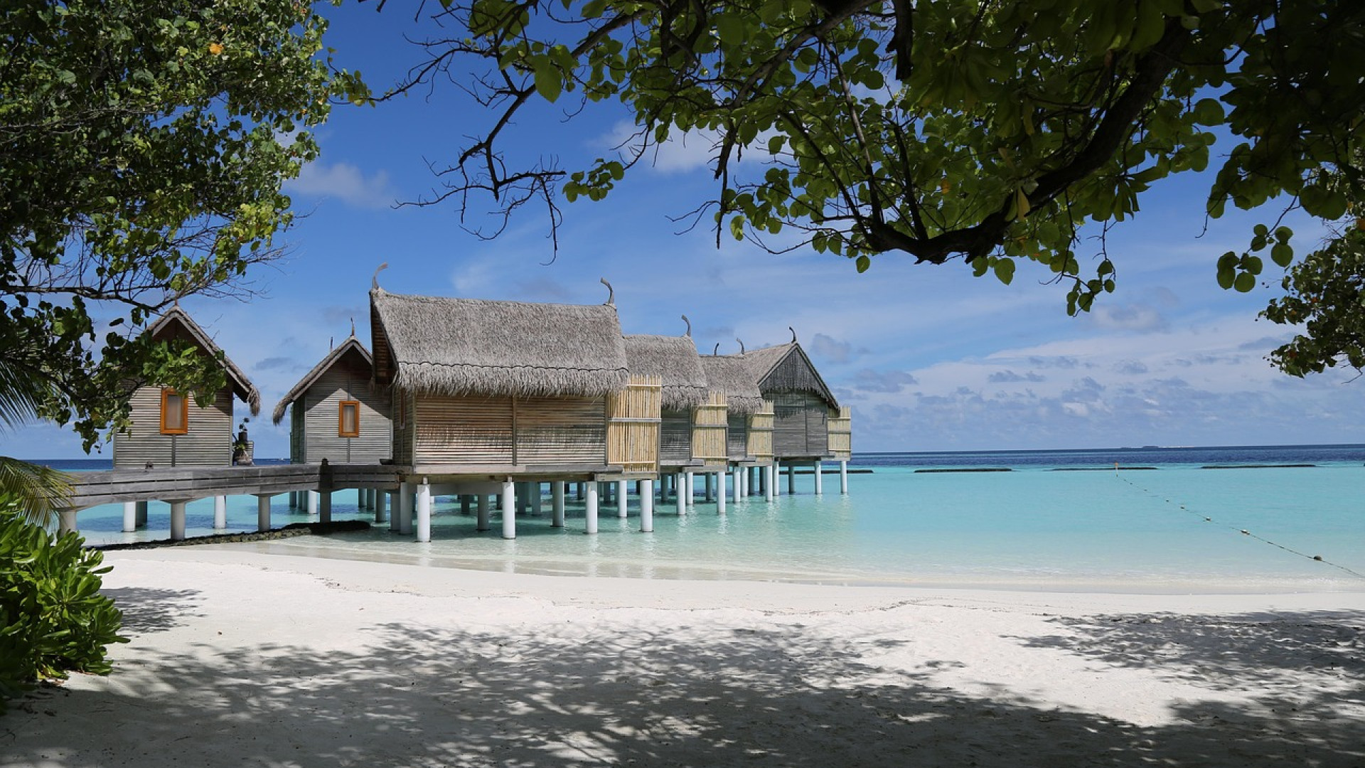 Voyager aux Maldives : budget, activités et astuces pour un séjour réussi !