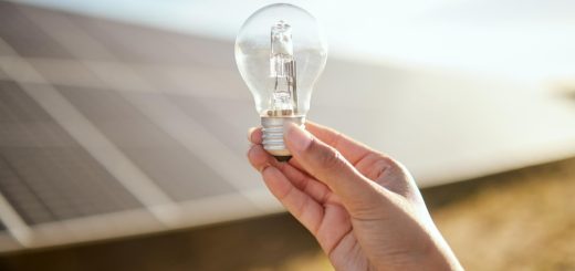 Quand l’énergie solaire devient un pilier de l'économie verte