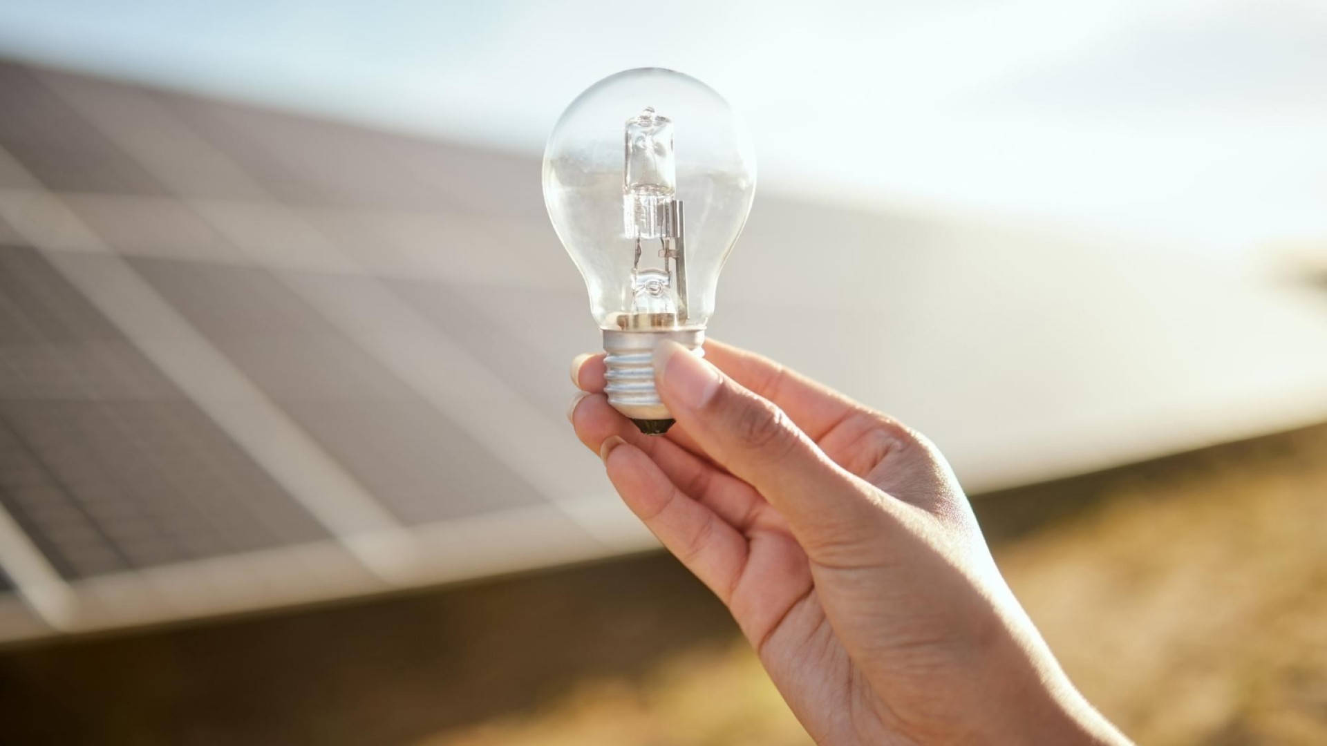 Quand l’énergie solaire devient un pilier de l'économie verte