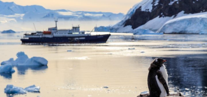 Découvrir la croisière en Antarctique : étapes, escales et paysages à couper le souffle