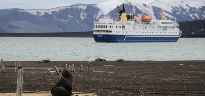 Luxe et aventure : pourquoi une croisière en Antarctique séduit les voyageurs d'exception ?