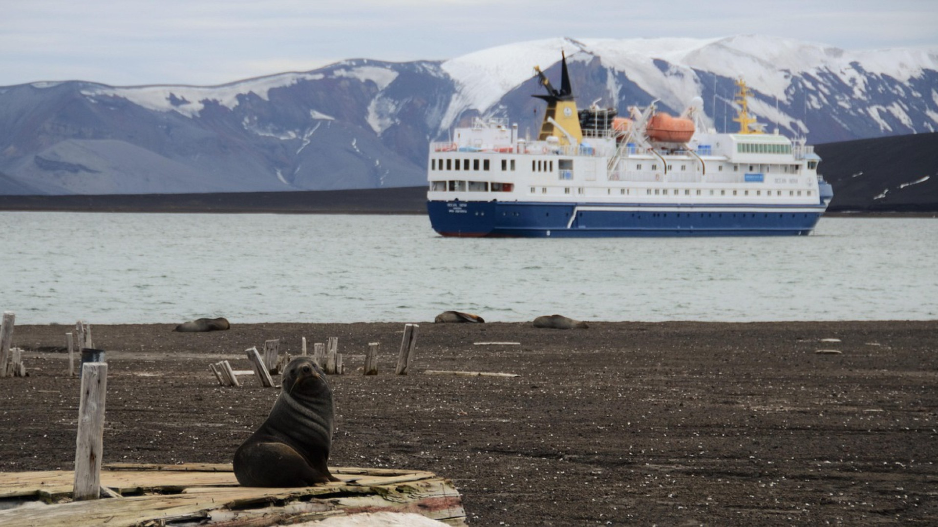 Luxe et aventure : pourquoi une croisière en Antarctique séduit les voyageurs d'exception ?