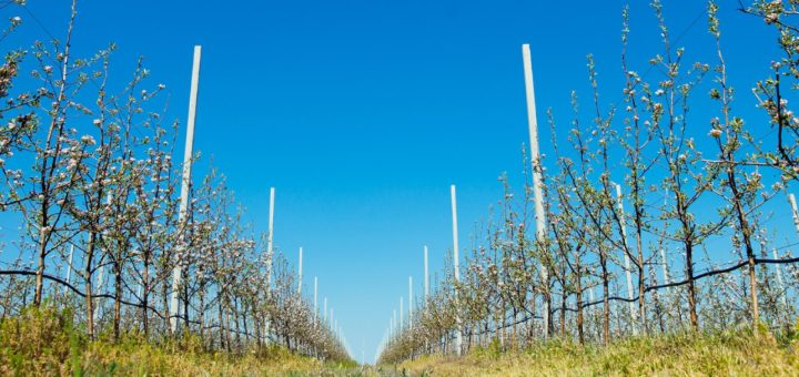 Des récoltes maximisées grâce aux monofilaments haute performance