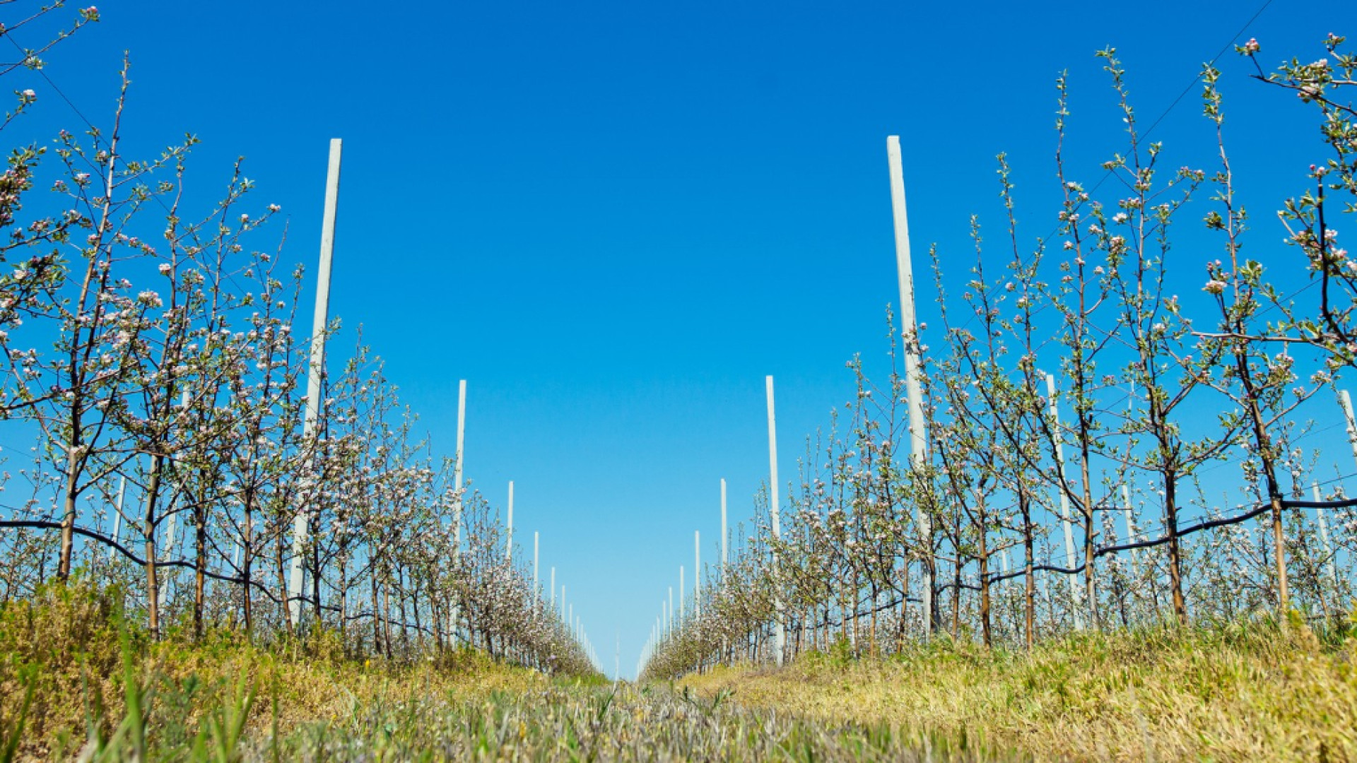 Des récoltes maximisées grâce aux monofilaments haute performance