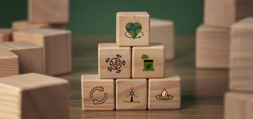 RSE classique vs RSE éducative : quelles différences fondamentales ?